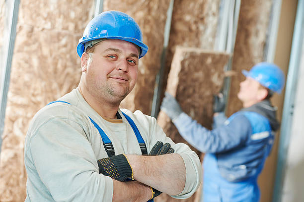 Best Insulation Maintenance and Repair in Mabank, TX
